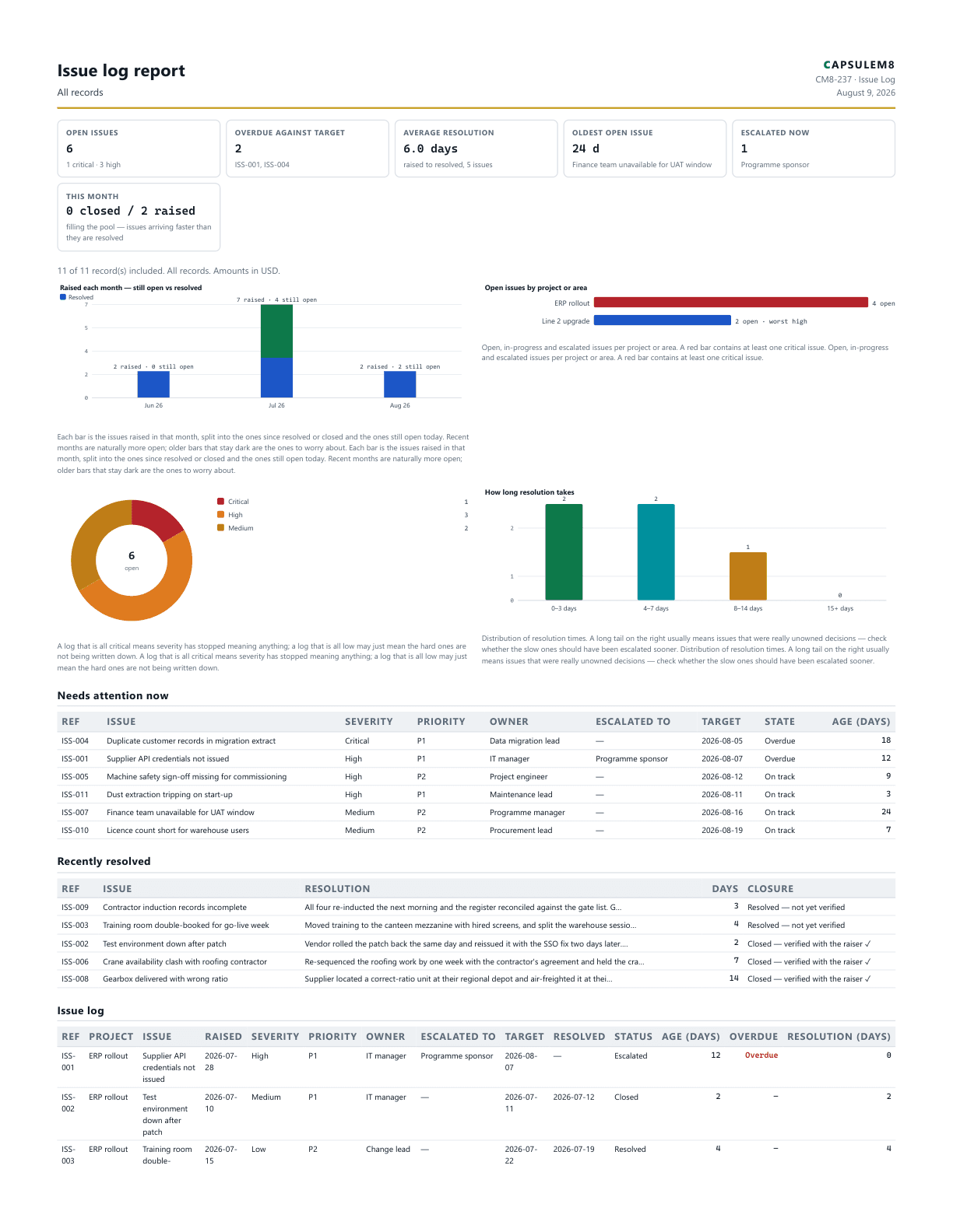 First page of the Issue log report PDF