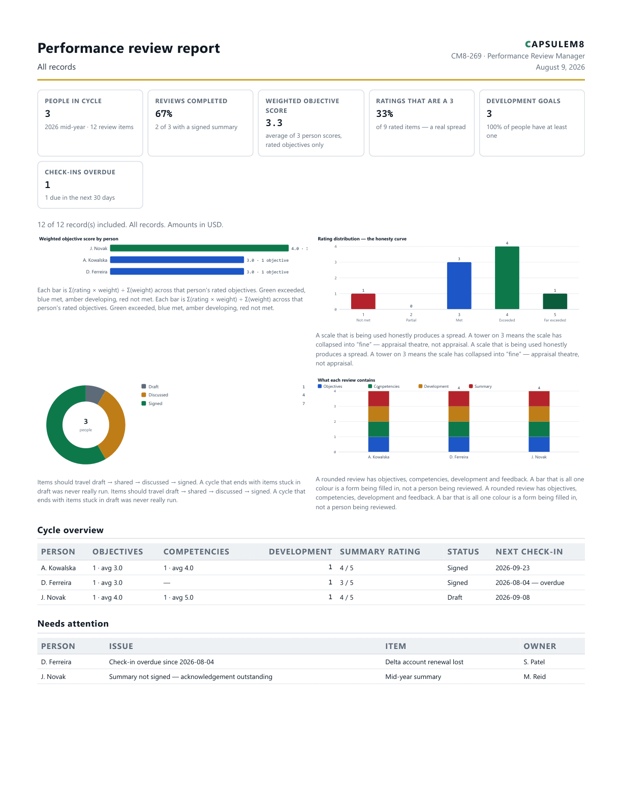 First page of the Performance review report PDF